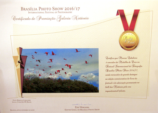 Certificado guarab display